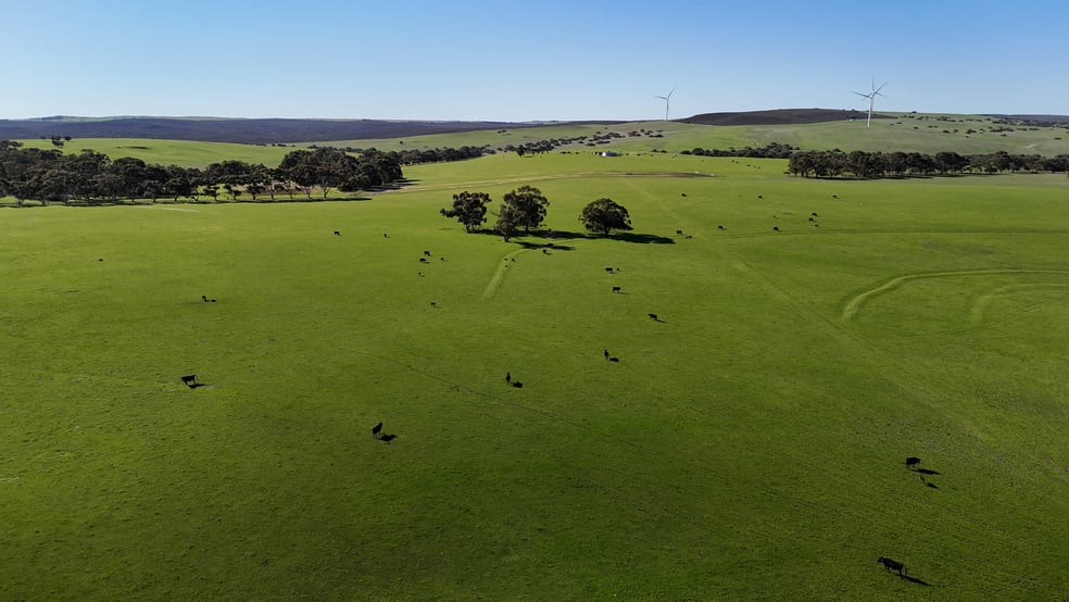 Click to view all images Badgingarra WA 6521 - Image 1