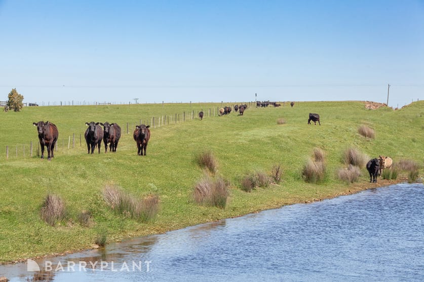 Click to view all images Lot 3 / 750 Kilmore-Lancefield Road Forbes VIC 3764 - Image 3