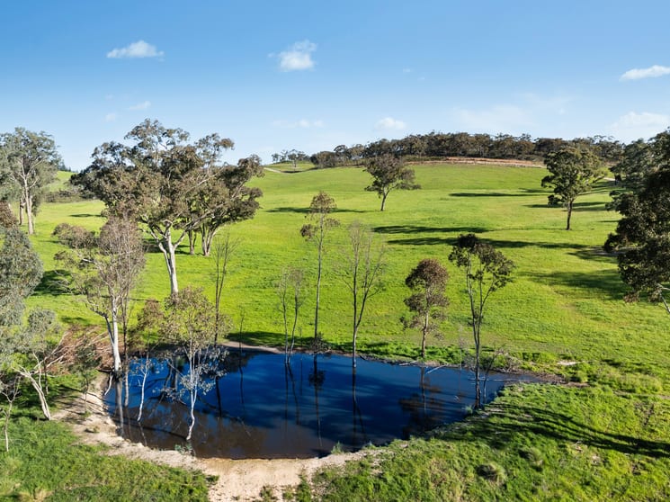 Click to view all images 358 Belgravia Road Orange NSW 2800 - Image 1
