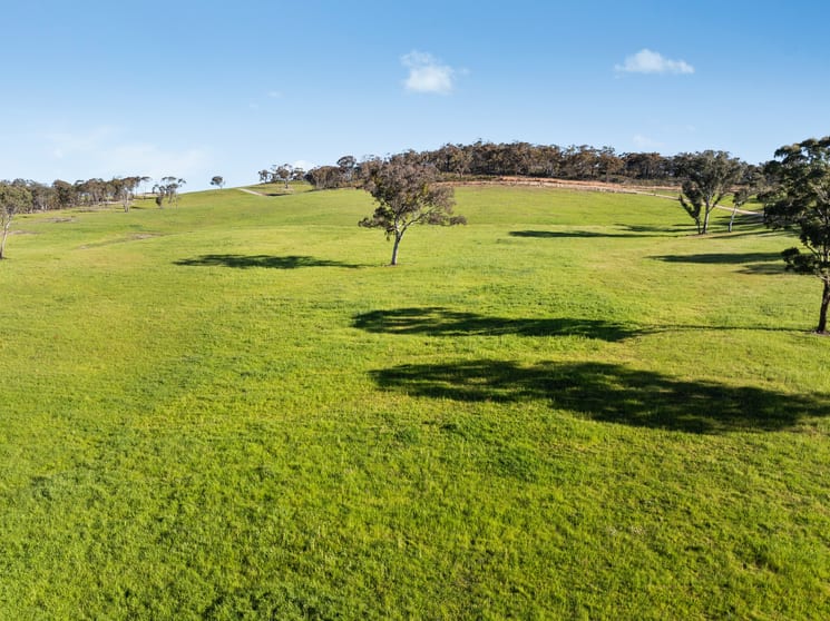 Click to view all images 358 Belgravia Road Orange NSW 2800 - Image 2