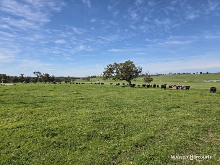 1867 Chester Pass Road Napier WA 6330 - Image 1