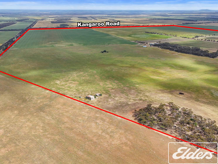 571 Kangaroo Road Langhorne Creek SA 5255 - Image 1