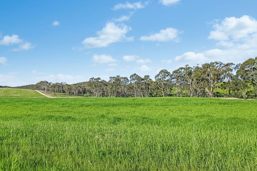 Click to view all images Burrendong Way Orange NSW 2800 - Image 3