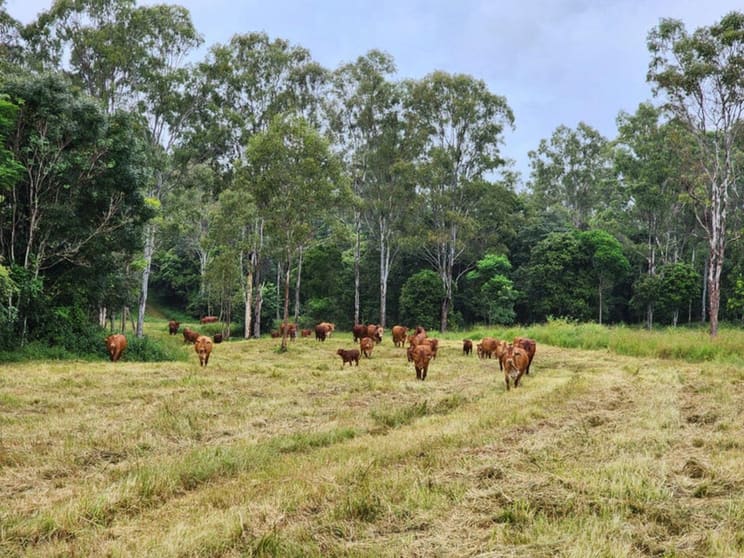 Lot 3 Kanigan Road Kanigan QLD 4570 - Image 1