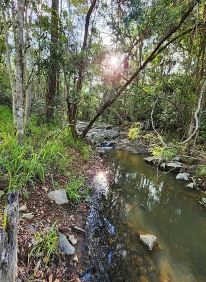 Lot 3 Kanigan Road Kanigan QLD 4570 - Image 2