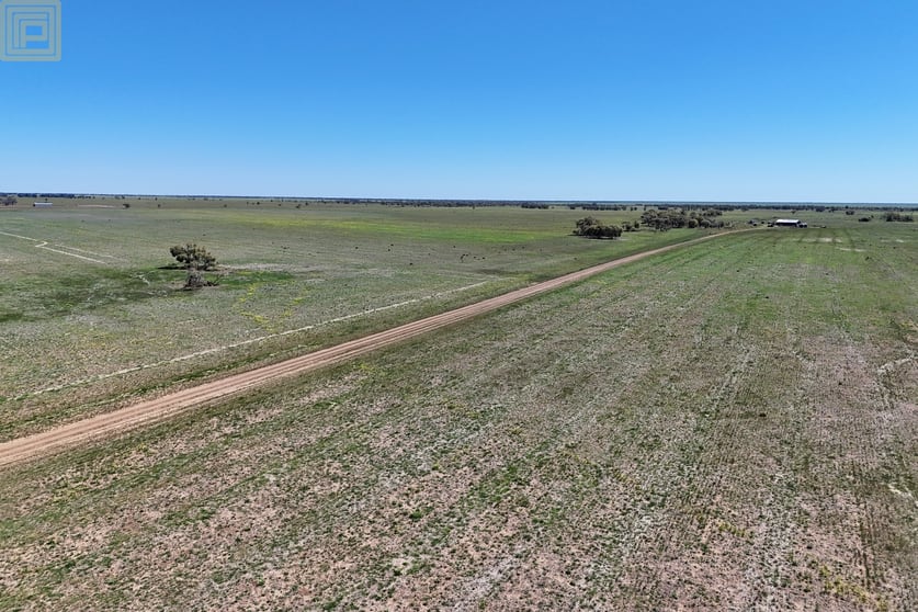 909 Epping Road Pilliga NSW 2388 - Image 2