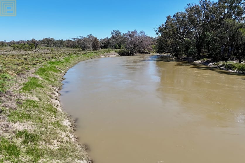 909 Epping Road Pilliga NSW 2388 - Image 3
