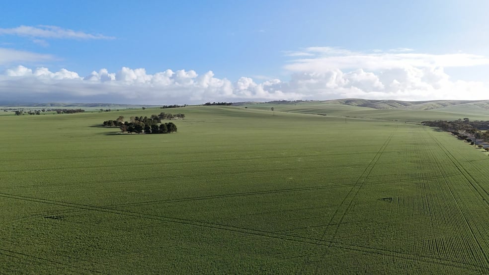 Click to view all images 'Crystal Valley' Talbots Road Crystal Brook SA 5523 - Image 3