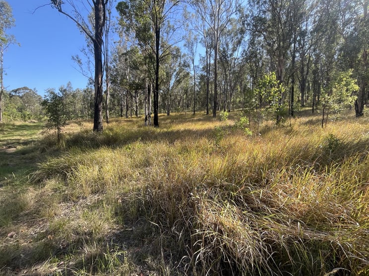 Click to view all images 2291 Willi Willi Rd Moparrabah NSW 2440 - Image 3