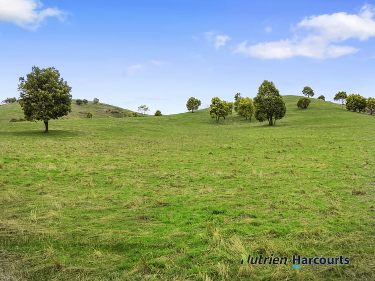 Click to view all images 3918 Whittlesea-Yea Road Flowerdale VIC 3717 - Image 2