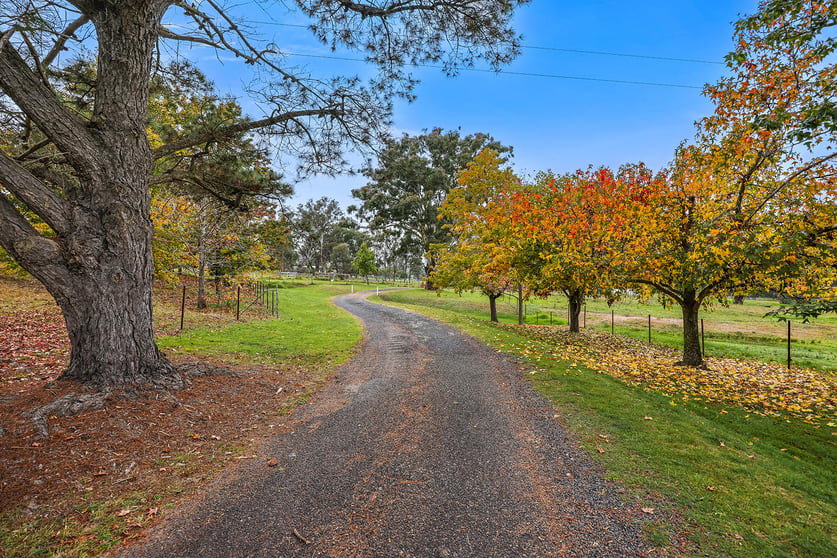 Click to view all images 80 Doughboy Street Murrurundi NSW 2338 - Image 3