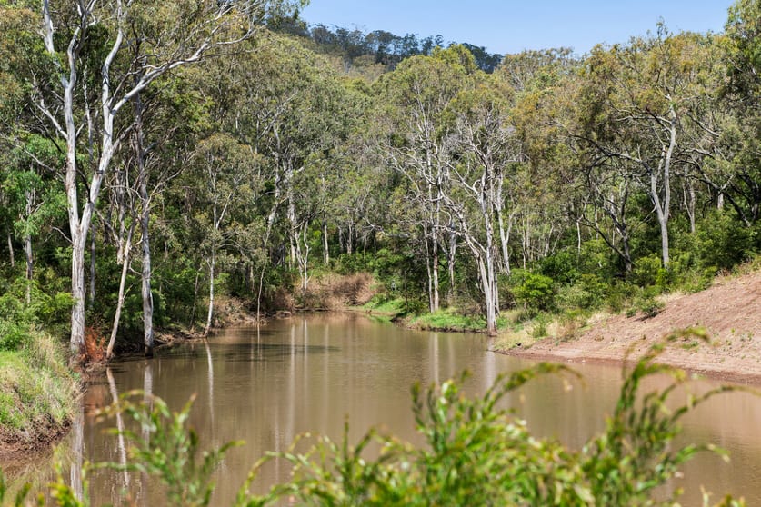 Click to view all images 38/262 Hendrie Road Upper Pilton QLD 4361 - Image 1
