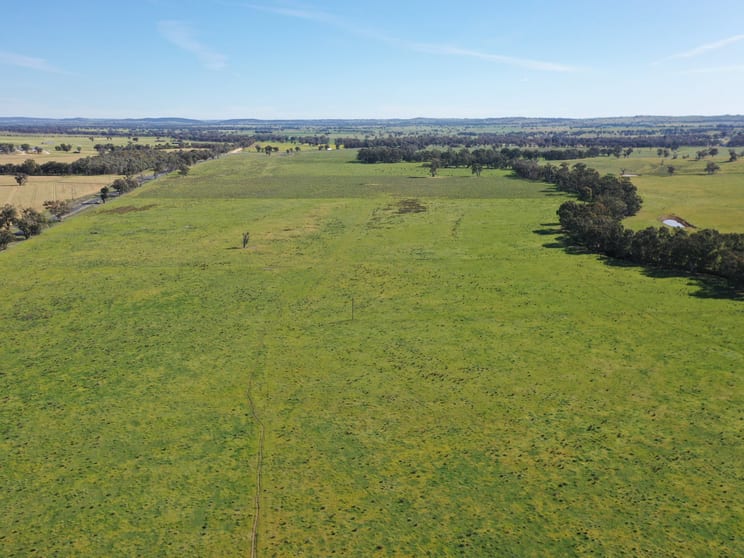 Click to view all images 2871 Olympic Highway Bendick Murrell NSW 2803 - Image 2