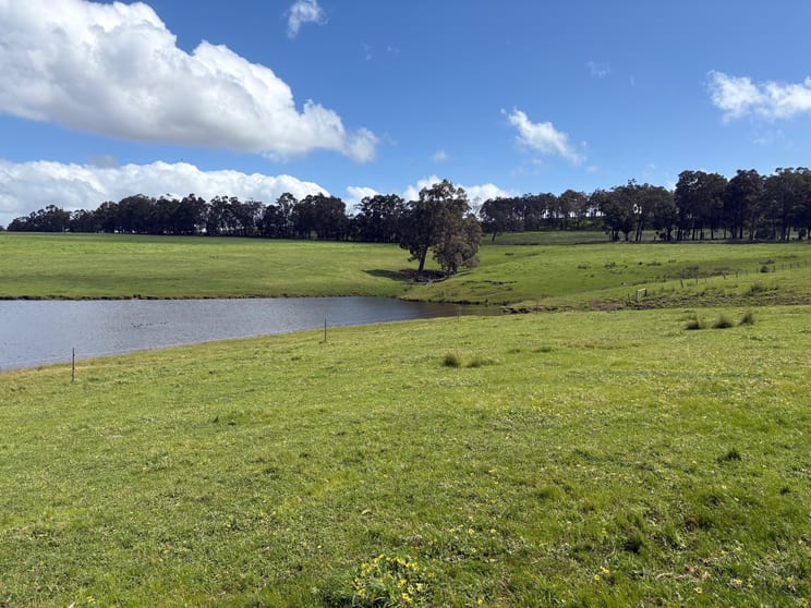 Click to view all images Lot 72 Beelerup Road Beelerup WA 6239 - Image 2