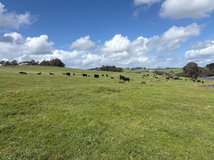 Click to view all images Lot 72 Beelerup Road Beelerup WA 6239 - Image 3
