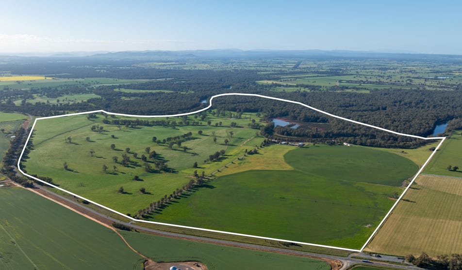 6021 Riverina Highway Hopefield NSW 2646 - Image 1