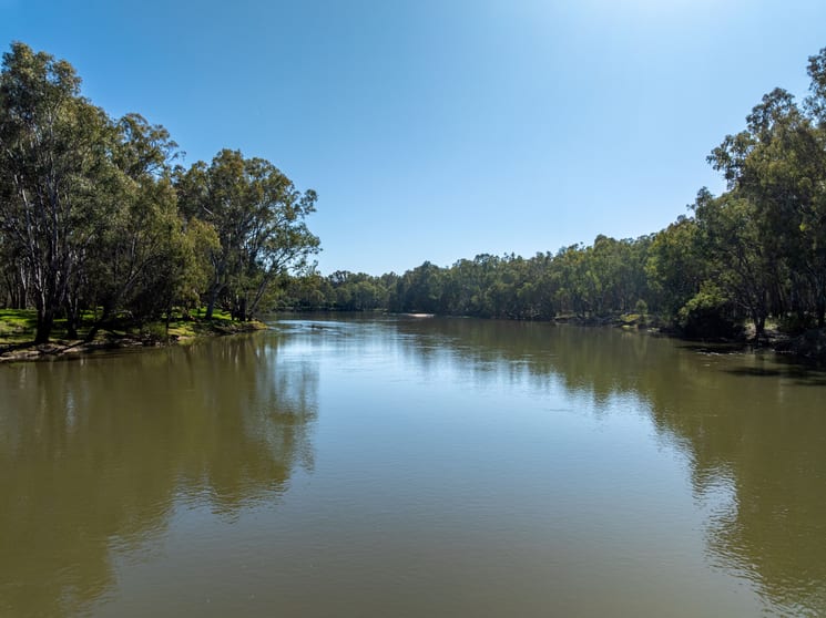 6021 Riverina Highway Hopefield NSW 2646 - Image 2