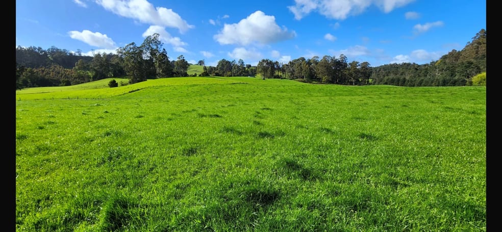 Click to view all images 69 North Prospect Road West Ridgley TAS 7321 - Image 1
