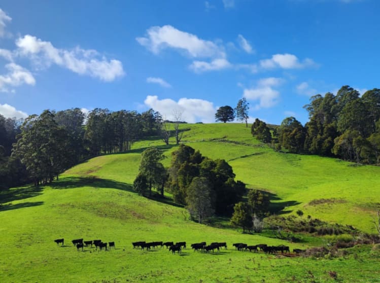 Click to view all images 69 North Prospect Road West Ridgley TAS 7321 - Image 2