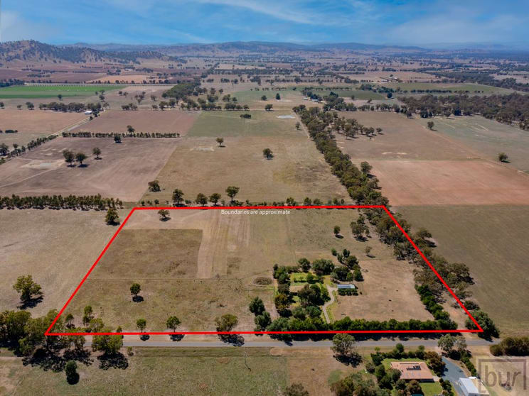 Click to view all images 142 Whittaker Lane Howlong NSW 2643 - Image 3