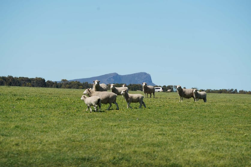 3078 Victoria Point Road Moutajup VIC 3294 - Image 1