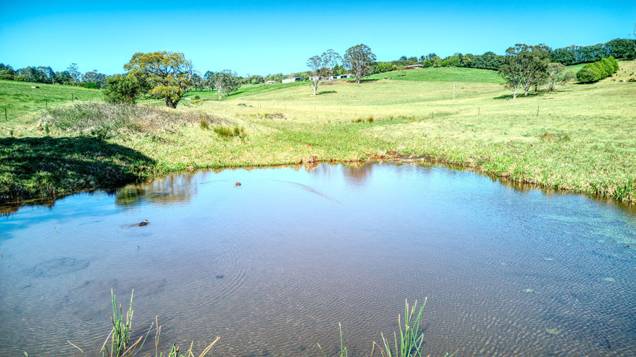 Dorrigo NSW 2453 - Image 3