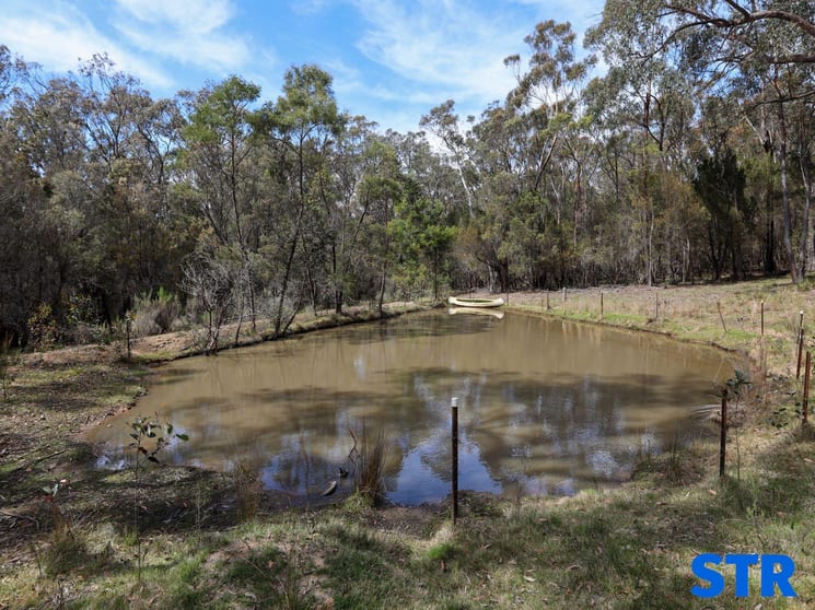 21 Gumnut Crescent Bungonia NSW 2580 - Image 3