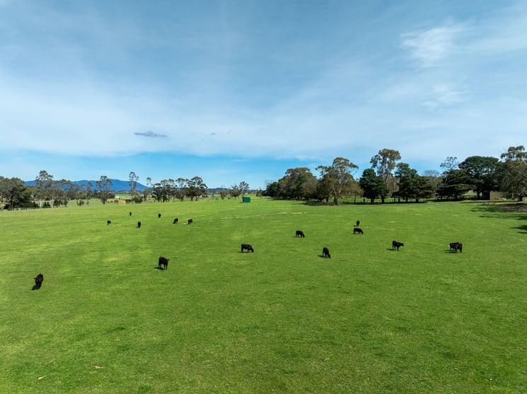 34-38 Coldstream West Road Coldstream VIC 3770 - Image 3