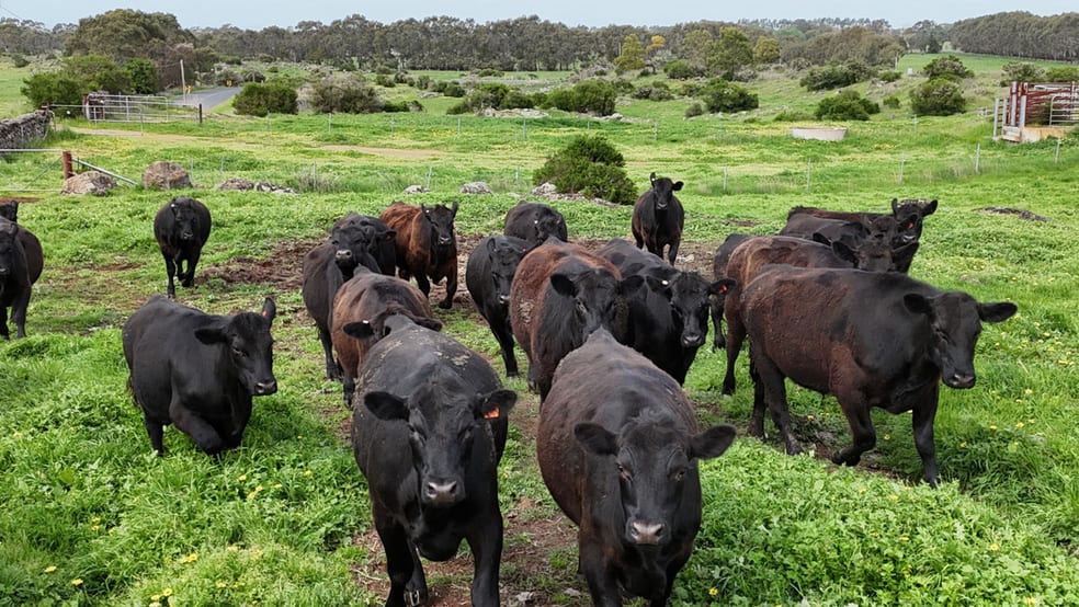 2103 Princes Highway Swan Marsh VIC 3249 - Image 2