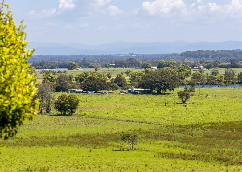 Click to view all images 149 Factory Road Mitchells Island NSW 2430 - Image 3