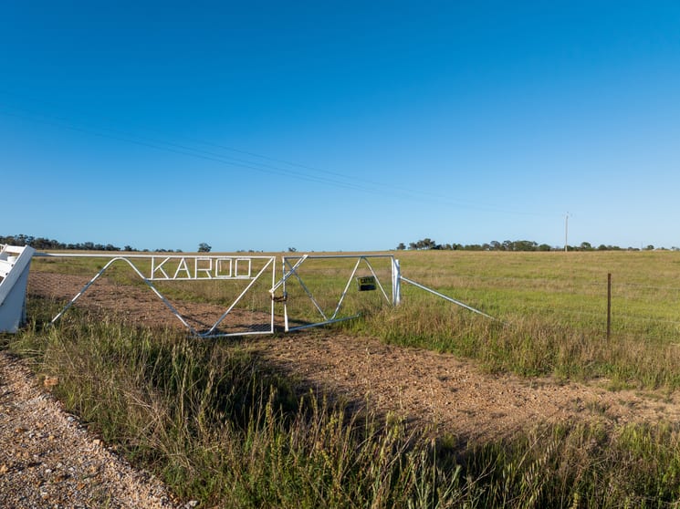 11 Karoo Lane Walmer NSW 2820 - Image 3