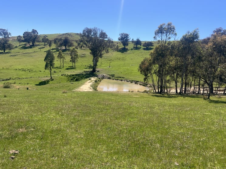 Click to view all images 557 Georges Creek Road Talgarno VIC 3691 - Image 3