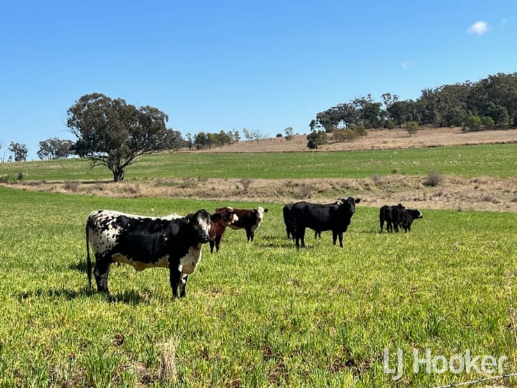 Click to view all images 962 Oakwood Road Inverell NSW 2360 - Image 3
