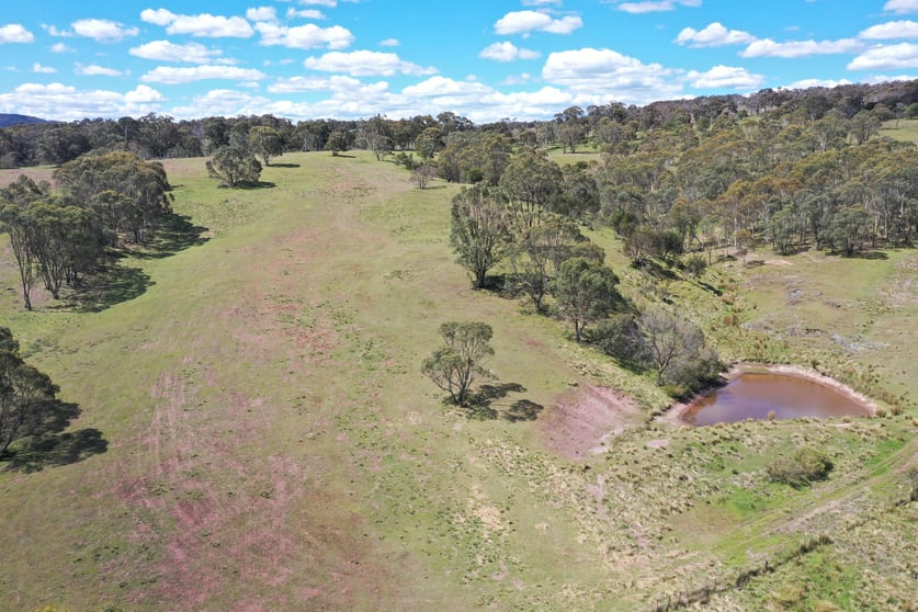 Click to view all images 1434 Jerrong Road Wiarborough NSW 2580 - Image 3