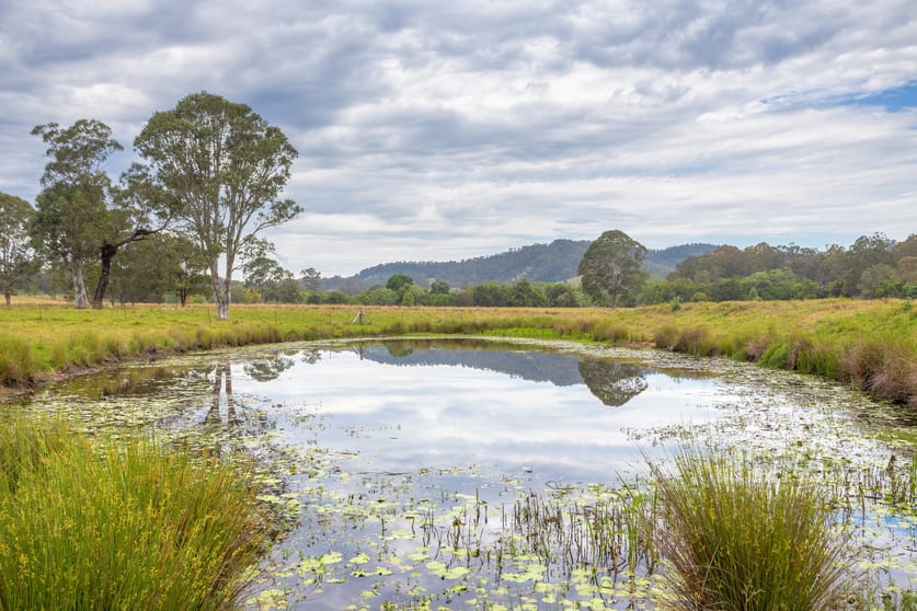 76 Stony Creek Road Kimbriki NSW 2429 - Image 1