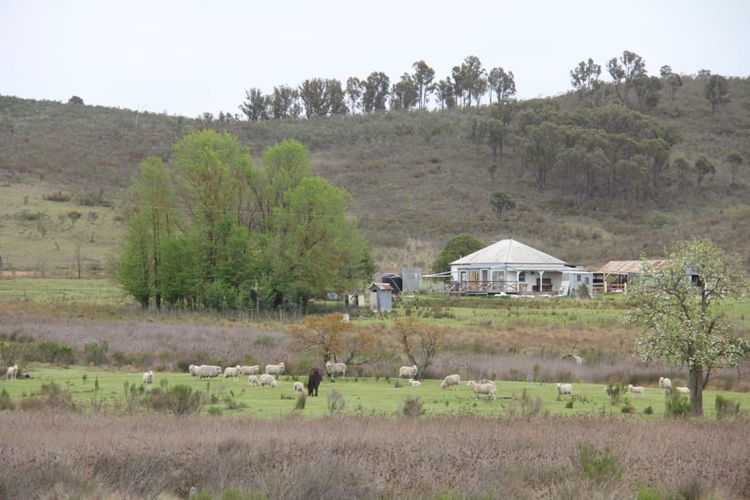 2008 Kiowarrah Road Bevendale NSW 2581 - Image 2