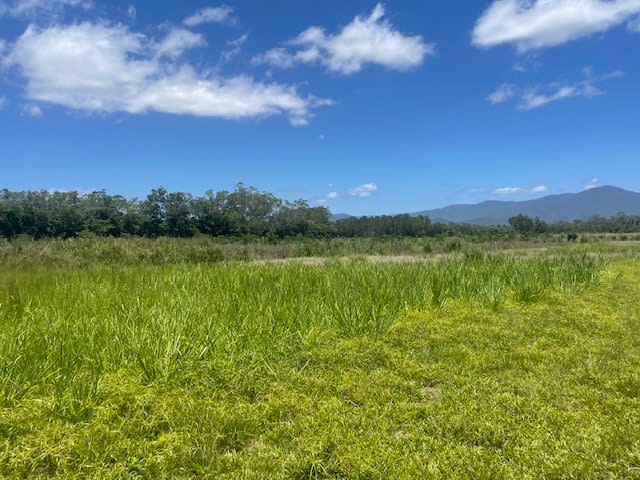 12 Pine Creek - Yarrabah Road East Trinity QLD 4871 - Image 2