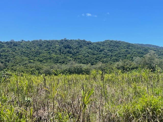 12 Pine Creek - Yarrabah Road East Trinity QLD 4871 - Image 3
