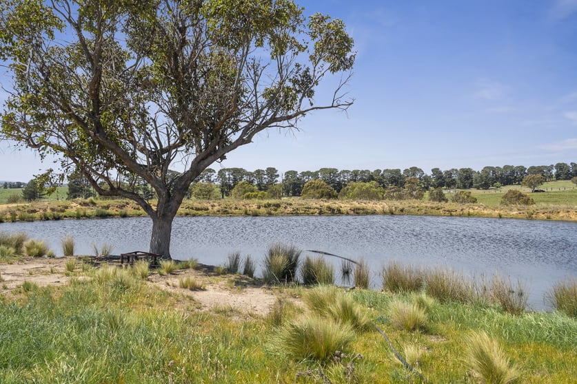 Click to view all images 40 Gap Road Parkesbourne NSW 2580 - Image 3