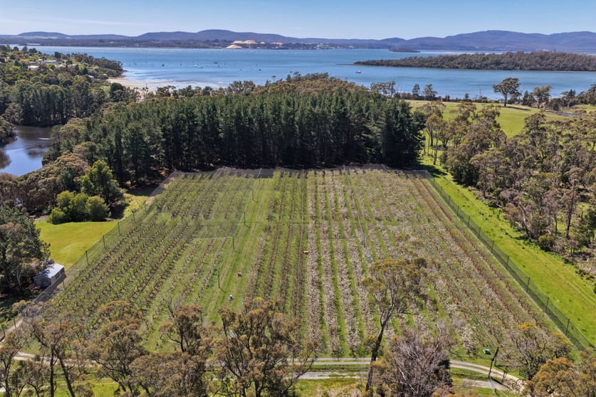 4378 West Tamar Highway Beauty Point TAS 7270 - Image 1