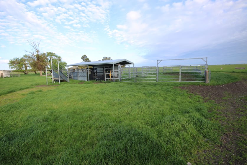 Click to view all images 98 Sinclairs Road Naracoorte SA 5271 - Image 2