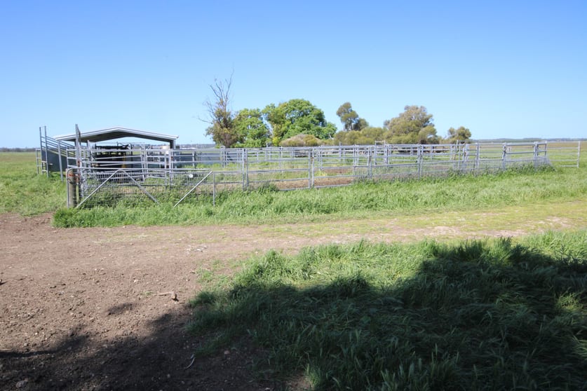 Click to view all images 98 Sinclairs Road Naracoorte SA 5271 - Image 3