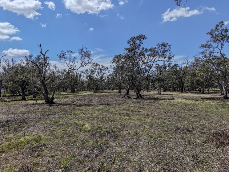 1359 Saddleback Road Forbes NSW 2871 - Image 3