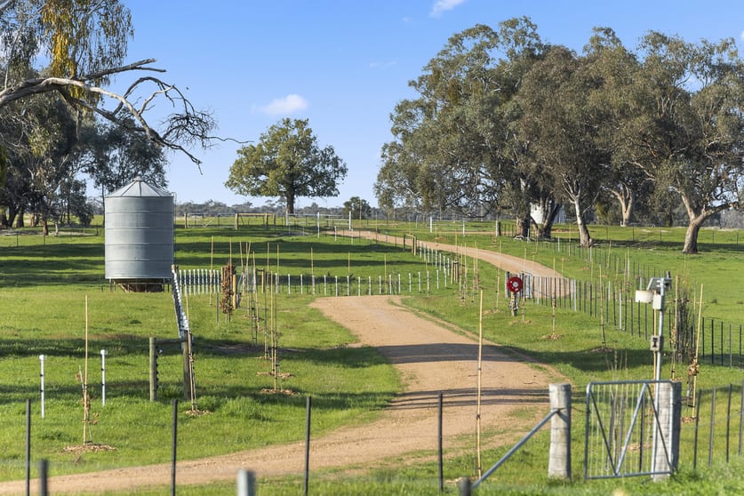 Click to view all images Springdale Road Tarrawingee VIC 3678 - Image 2