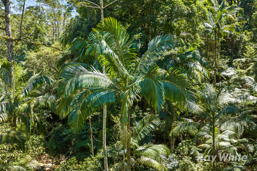 131 Porters Road Upper Crystal Creek NSW 2484 - Image 3