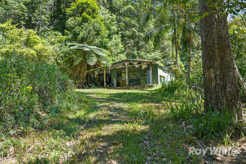 131 Porters Road Upper Crystal Creek NSW 2484 - Image 1