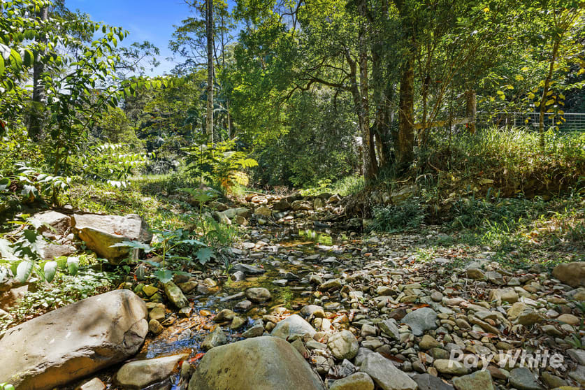 131 Porters Road Upper Crystal Creek NSW 2484 - Image 2