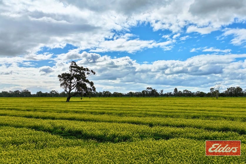 Lot 2 Old Barmah Road Moama NSW 2731 - Image 3