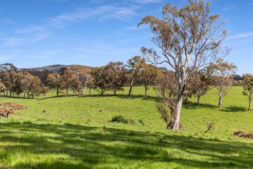 2970 Northern Highway High Camp VIC 3764 - Image 2