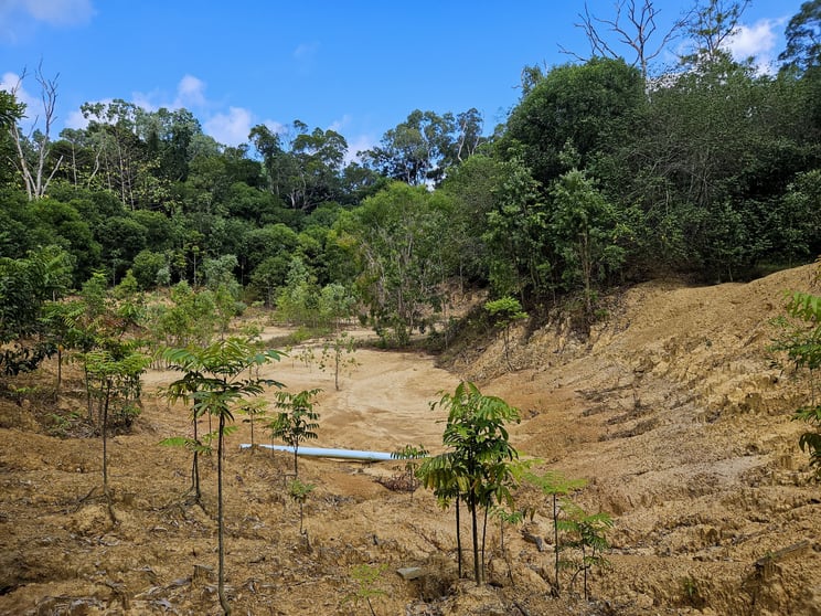 Click to view all images 2401 Rossville Bloomfield Road Bloomfield QLD 4895 - Image 2